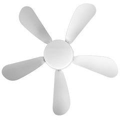 12W Ceiling Fan with Dimmable LED Light – 3 Speeds, Stepless Brightness & Color Temp, Smart Timer, Remote Control