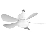 12W Ceiling Fan with Dimmable LED Light – 3 Speeds, Stepless Brightness & Color Temp, Smart Timer, Remote Control
