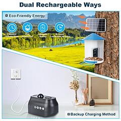 Smart Bird Feeder with 1080P HD WiFi Camera, Solar Powered