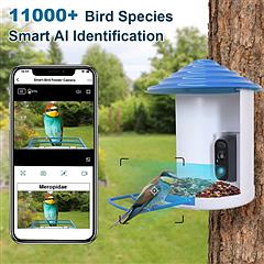 Smart Bird Feeder with 1080P HD WiFi Camera, Solar Powered