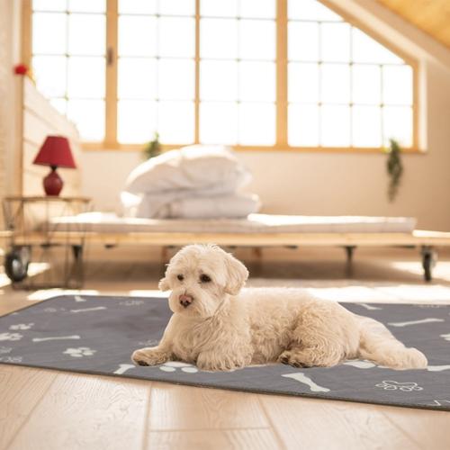 2-Pack Reusable Waterproof Pet Pee Pads – Washable, Non-Slip, Absorbent Training Mats for Puppies, Dogs, Cats & Crates (Size M)