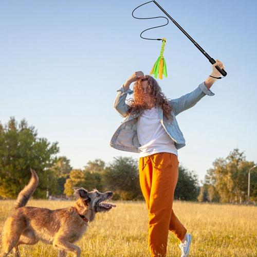 Extendable Dog Flirt Pole with Lure: 10.23-26.77in Teaser Wand & 2 Replaceable Interactive Tail Toys for Small, Medium & Large Dogs - Training & Exercise