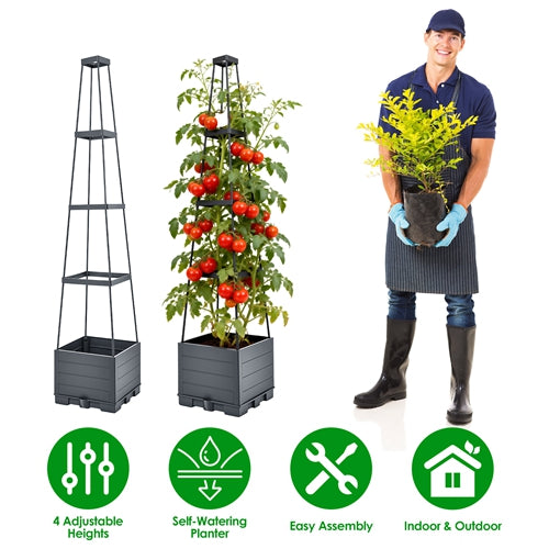 iMountek 2-Pack Raised Garden Bed with Trellis – 56” Self-Watering Planter Box for Tomatoes, Vegetables, Indoor & Outdoor Gardening
