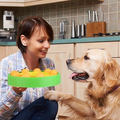 Interactive Dog Puzzle Feeder – Slow Feeding Treat Toy for Mental Stimulation & IQ Training